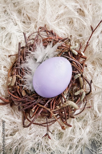 Photo: Nest With lavender Egg Nest With lavender Egg