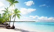 palms and sea