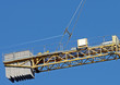 Photo: crane crane