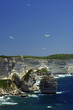 Parc Marin des Bouches de Bonifacio