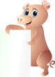 pig with blank sign