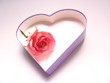 Foto: herz mit rose herz mit rose