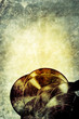 Foto: grunge vinyl grunge vinyl