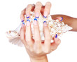 hands with shell hands with shell