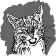 Sketch of curious little cat looking at something on the ground.