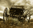Oregon Trail