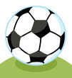 Soccer Ball In Grass