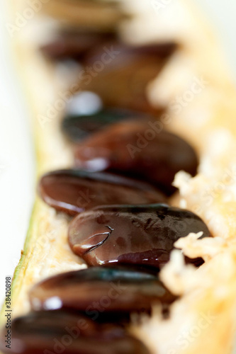 Foto: Seeds of a tropical fruit Seeds of a tropical fruit