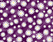 margaret background