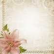 Paper grunge background with pink lily