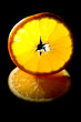 slice of orange slice of orange