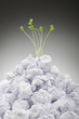 Green seedlings growing out of paper
