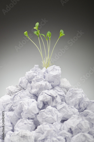 Photo: Green seedlings growing out of paper Green seedlings growing out of paper