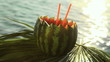 Video: tropical cocktail tropical cocktail