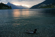 Evening view of the lake near Queenstown