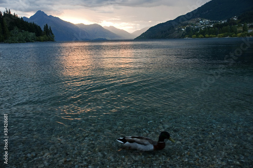 Photo: Evening view of the lake near Queenstown Evening view of the lake near Queenstown