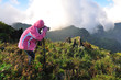 scene of "Chiang Dao" mountain, Thailand