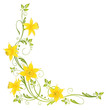 Frühling, Ostern, Ranke, Osterglocken, Narzissen Frühling, Ostern, Ranke, Osterglocken, Narzissen