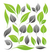 Set of leaf design elements