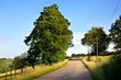 Fin de journée dans la campagne