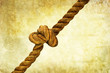 nautical rope print