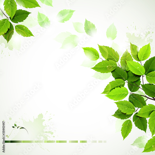 Vector: branch with fresh green leaves branch with fresh green leaves