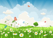 Summer sunny landscape