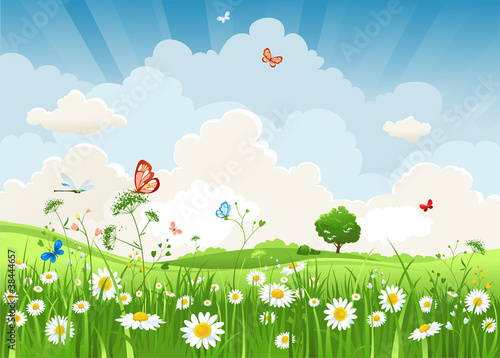 Vector: Summer sunny landscape Summer sunny landscape
