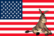 Democrat Donkey
