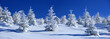 paysage de neige