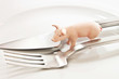 Schweinefleisch