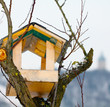 Vogelhaus wartet auf Gäste