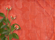 Greeting Card to St. Valentine's Day with hearts and roses