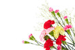 花束