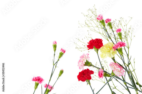Photo: 花束 花束