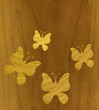 Butterflies of wood veneer