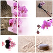 Collage Bouddha zen orchidée rose
