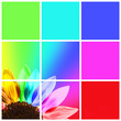 Collage carré tournesol arc-en-ciel