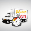 vecteur livraison gratuite
