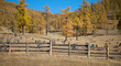 The fence enclosing livestock