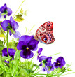 Blue flowers