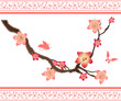 Sakura elements