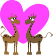 giraffe innamorate