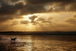 sun beams on the beach