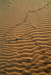 sand pattern 02