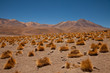 Andenpanorma, Bolivien