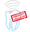 Amalgam Zahn