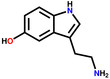 Serotonin structural formula