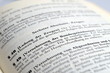 Vernehmung des Bundespräsidenten