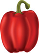 Bell pepper